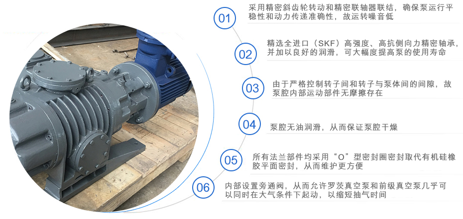 ZJP羅茨真空泵